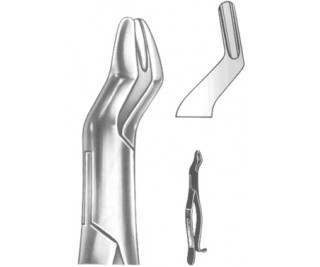 Extracting Forceps American pattern